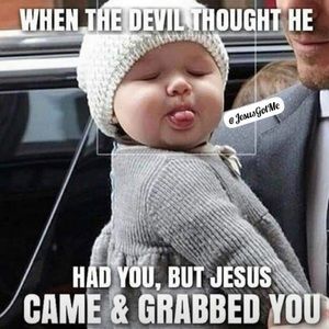 Meet your Posher, Rosalie